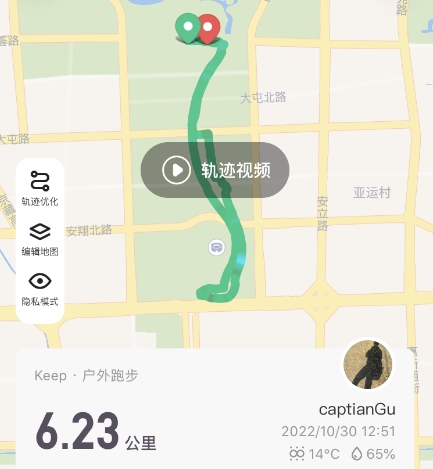 Dragon-shaped water system