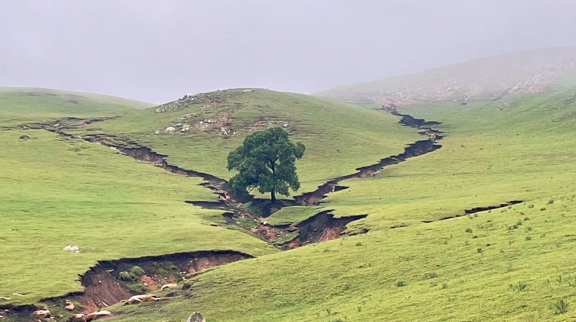 Da Qing Mountain