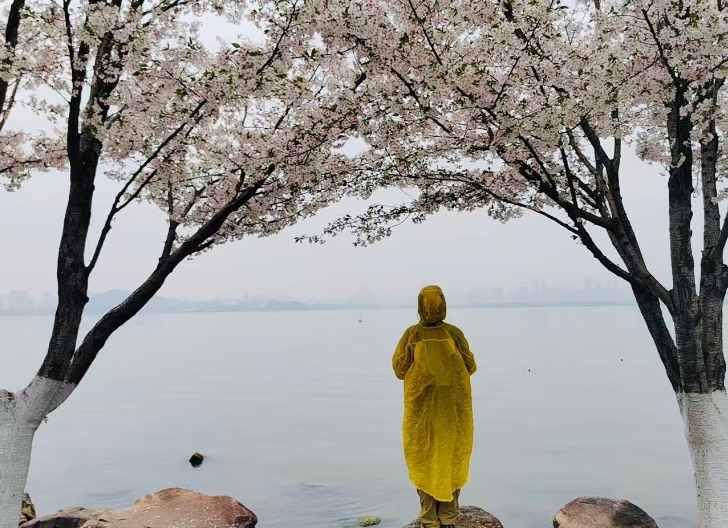 Staying under a cherry tree