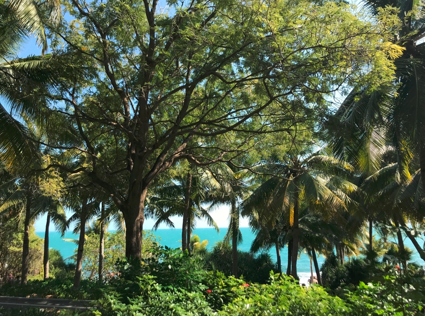 Blue in Hainan